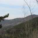 사하구-31 이미지