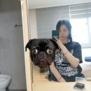 더잇다쇼룸 | 26.7.7~7.17 매일 약속있는 여름방학 일상