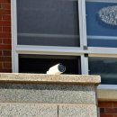 신덕초등학교 이미지