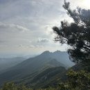 태을초교 | 등산 초보의 수리산 태을봉 관모봉