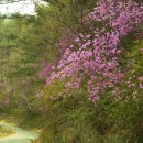 배산말농장 이미지