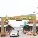 금산인삼전문점 이미지