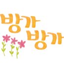 시크릿포레