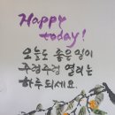 해피투데이 Daum카페