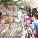 제주녹지리조트2 이미지