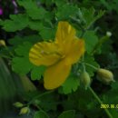 양지어린이집 이미지