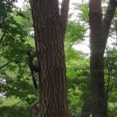 해오름 유아숲체험원 이미지