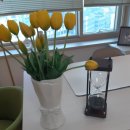 밝은마음 | 분당심리상담,밝은마음상담센터 후기들려드릴게요