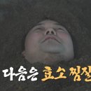 수락산 편백원 이미지