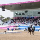 인천 승마장 이미지