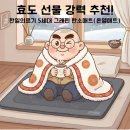 효도의료기 | ​[내돈내산] 설 명절 부모님 효도 선물 추천! 쿠팡 골드박스 '한일의료기 5세대 그래핀 탄소매트'