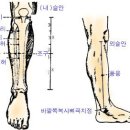 경 혈(혈자리) : 뜸 자 리 이미지