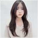 에리카헤어 이미지