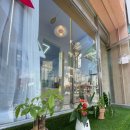 도기로움 | 광진구 애견미용샵 스트레스 최소화 아이들 미용전문 도기로움 후기