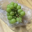 구산면614 이미지