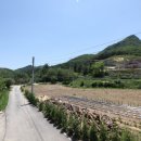 대명참숯가마 찜질방 이미지