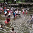 인지초등학교 이미지