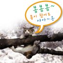 3월31일(토)북한산 성신여대역 6번출구 10시30분 봄봄봄~ 이미지