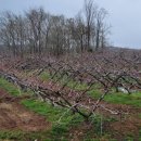 삼화2리 이미지