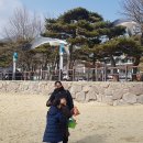 명품조개찜붉은대게