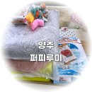 퍼피루미 이미지