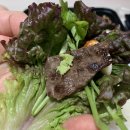 야은로-26 이미지