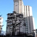 광교산동물병원 이미지