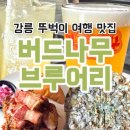 강릉고속버스터미널 근처 뚜벅이 여행 맛집 버드나무브루어리 내돈내산