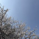 우리돈김치찌게전문점 | 밀양 맛집 삼문동면동 수제왕돈까스, 판모빌, 김치나베돈 솔직후기^^