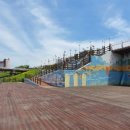 홍어대가 이미지