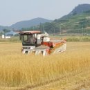 고흥수퍼