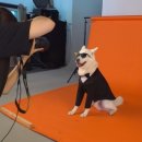 풍이농장 이미지