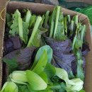 오만농장 이미지