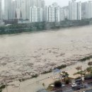 완도10호 이미지