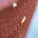 대로농약자재 이미지