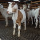 삼태농장 이미지