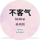 씨에씨에 이미지