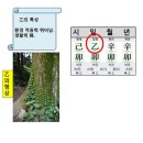 일원물수건