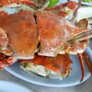 운영수산회센터 이미지