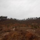 장암1리 마을회관 이미지