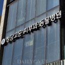 청담 고운 피부과 동물병원 이미지