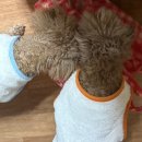 (주)호연스포렉스 | 피곤해도 연말은 포기못해