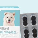 프롬퍼피 이미지