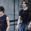 마이디어 이미지