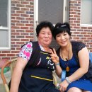 문화횟집 Daum카페
