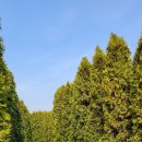 바람아래관광농원 이미지