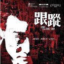 천공의 눈 (양가휘, 임달화, 2007) 이미지