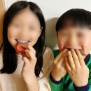 가람초등학교 | 진주 단체간식 답례품 추천 *이츠프룻* 쌀카스테라