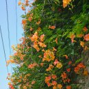 상록수역 앞 공터 이미지