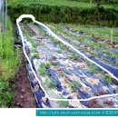 나눔농장 이미지